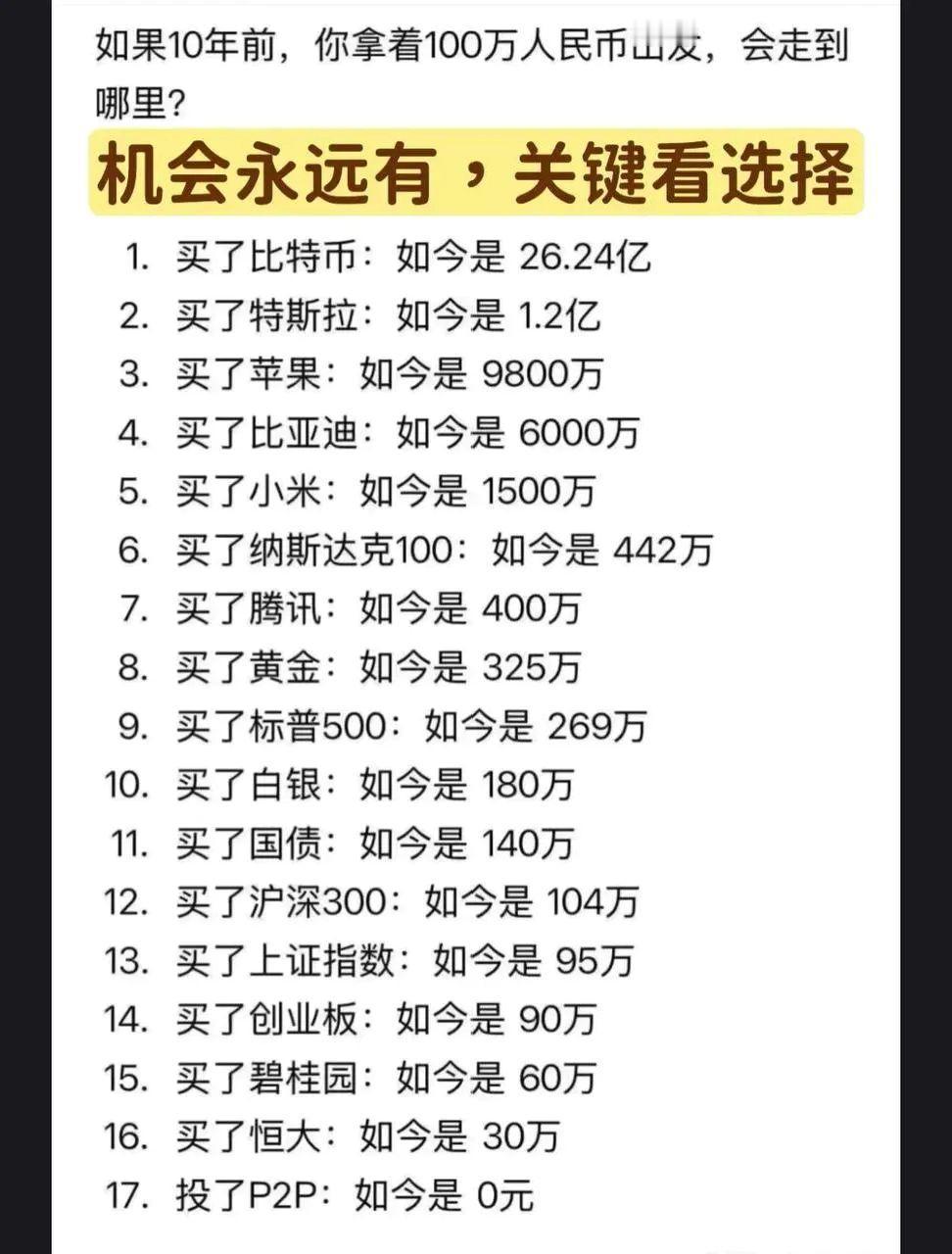 十年前100万投资的结局