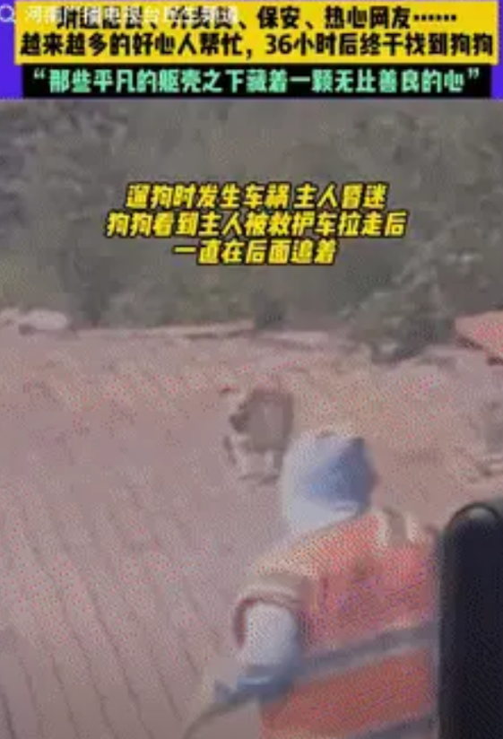 “这才是人间最美好的闭环！”山东一女子遛狗时不慎发生车祸，随后女子便陷入昏迷，小