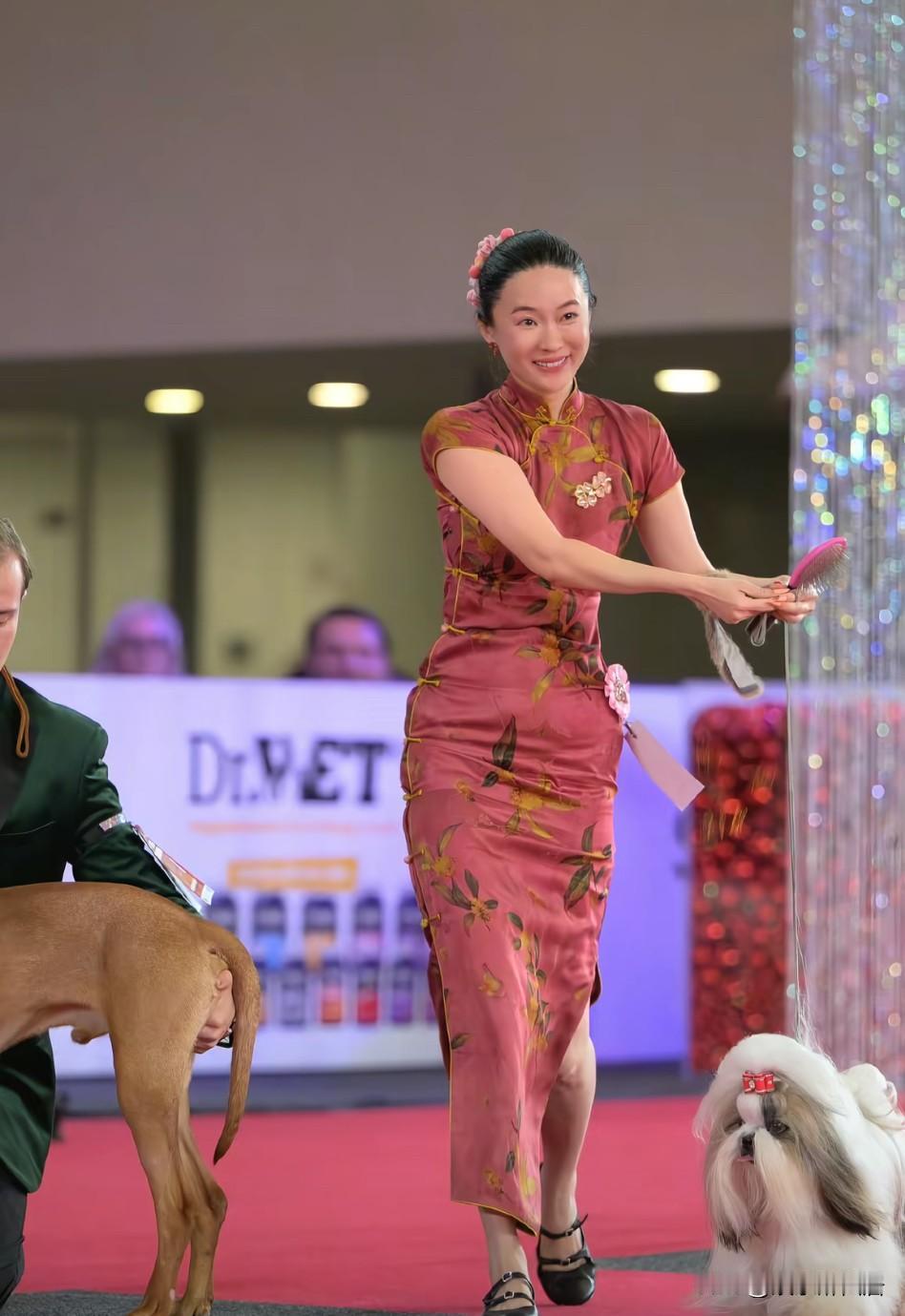 怎么回事霍思燕这是还拍到了？还领着自家宠物参加比赛得了第一名？真是没想到，怪不