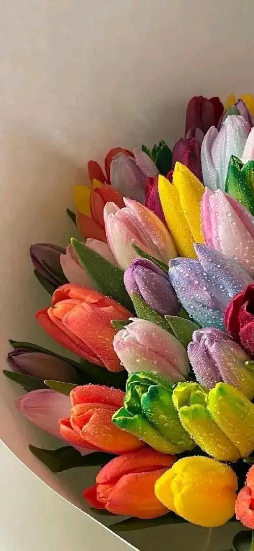 两个相亲对象——一个去高档餐厅，上来就自己点菜也不问你喜欢吃啥，但上的基本