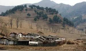 朝鲜对三名未成年人处以极刑！如果不是官方通报，没人会相信这是真的：三名高中