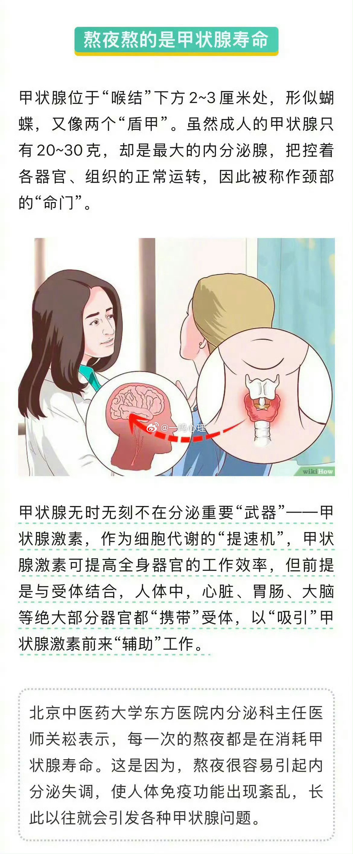 熬夜其实是在熬甲状腺的寿命熬夜很容易引起内分泌失调每一次的熬夜都是在消耗甲状腺