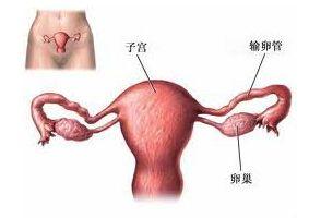 常保子宫年轻, 多做这些动作!