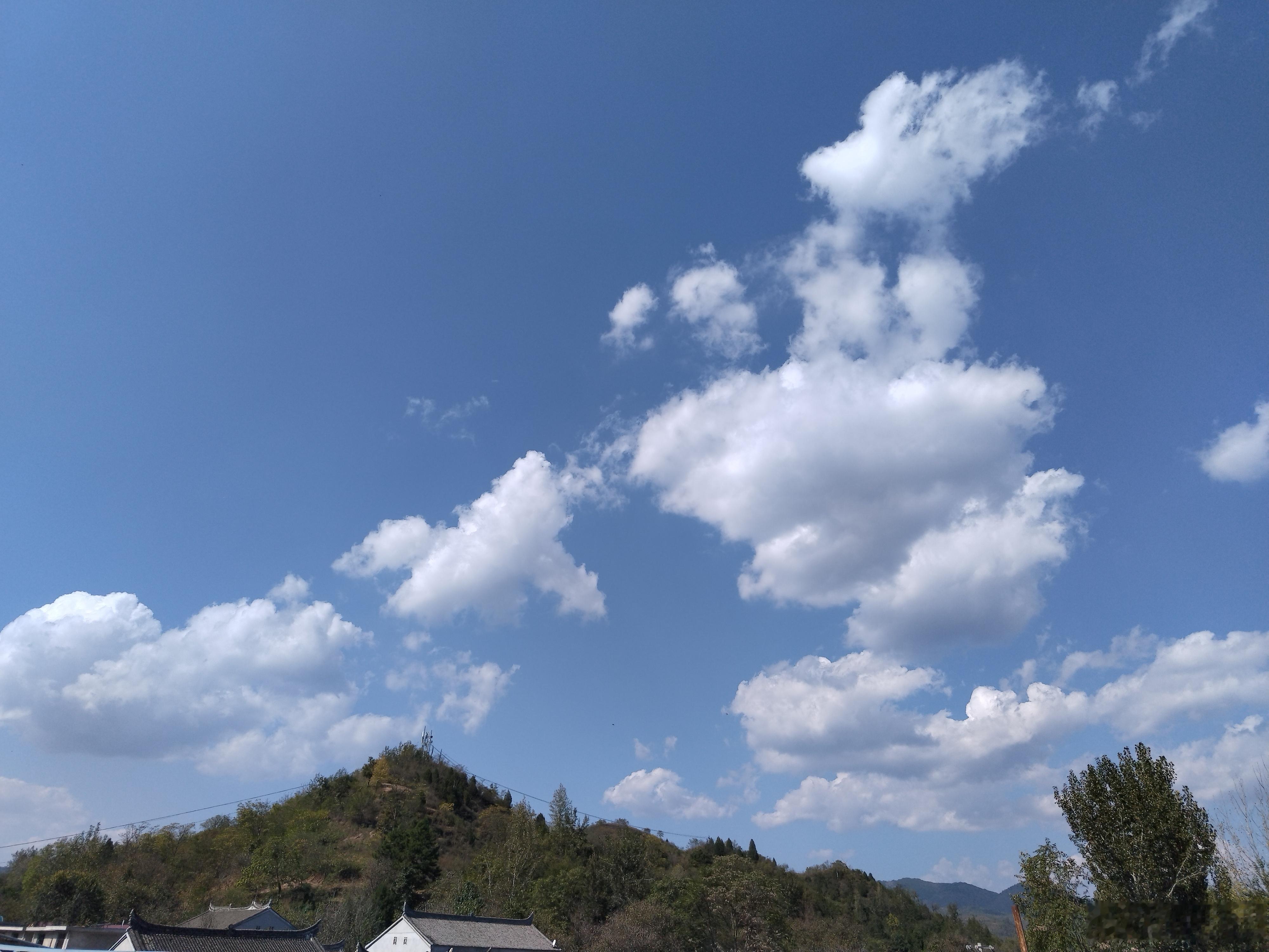 退休金一万到底要缴多少社保现在最大的问题是涝的涝死，旱的旱死。​​​