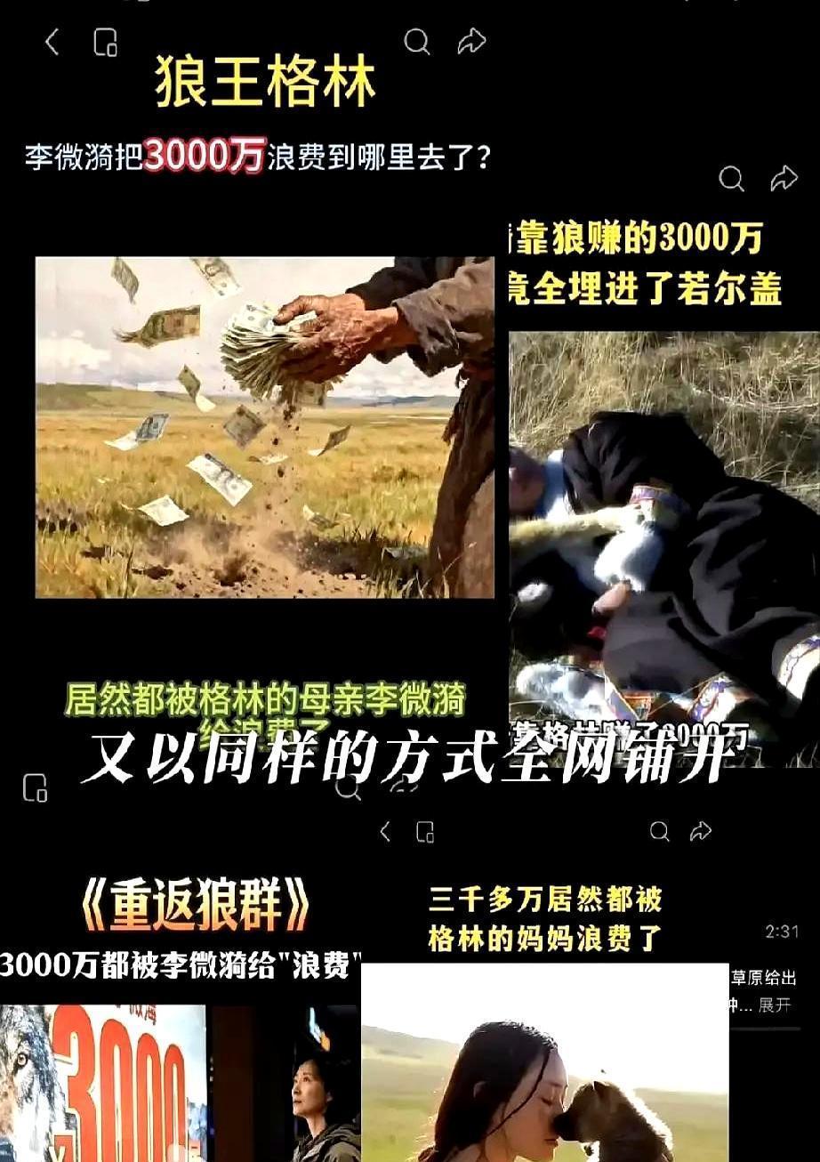 全世界都说她把狼养死了，还靠它发财。十年后，李微漪直接甩出红外相机画面：一头公