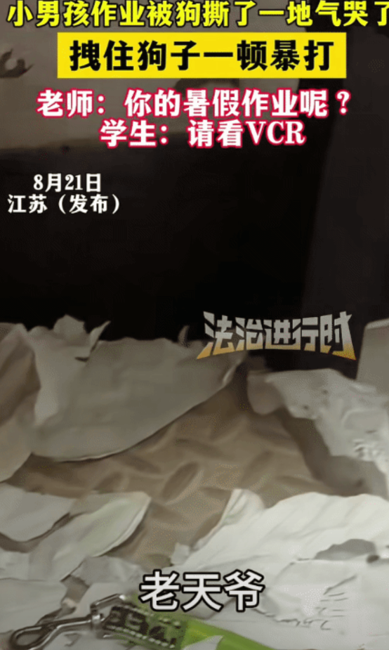 “笑不活了！”江苏，男孩把写完的暑假作业放哪。万万没想到被狗子给撕了，他哭着拽住