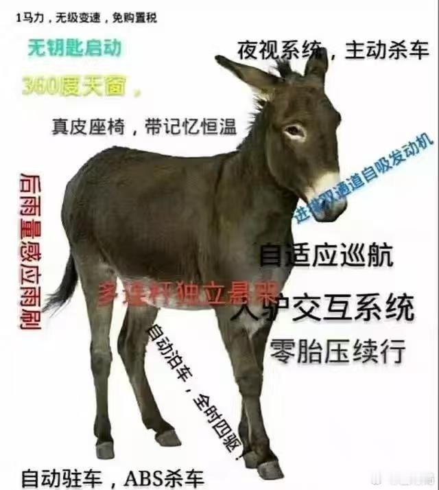 真正的智驾，其实来源于我们的生活​​​