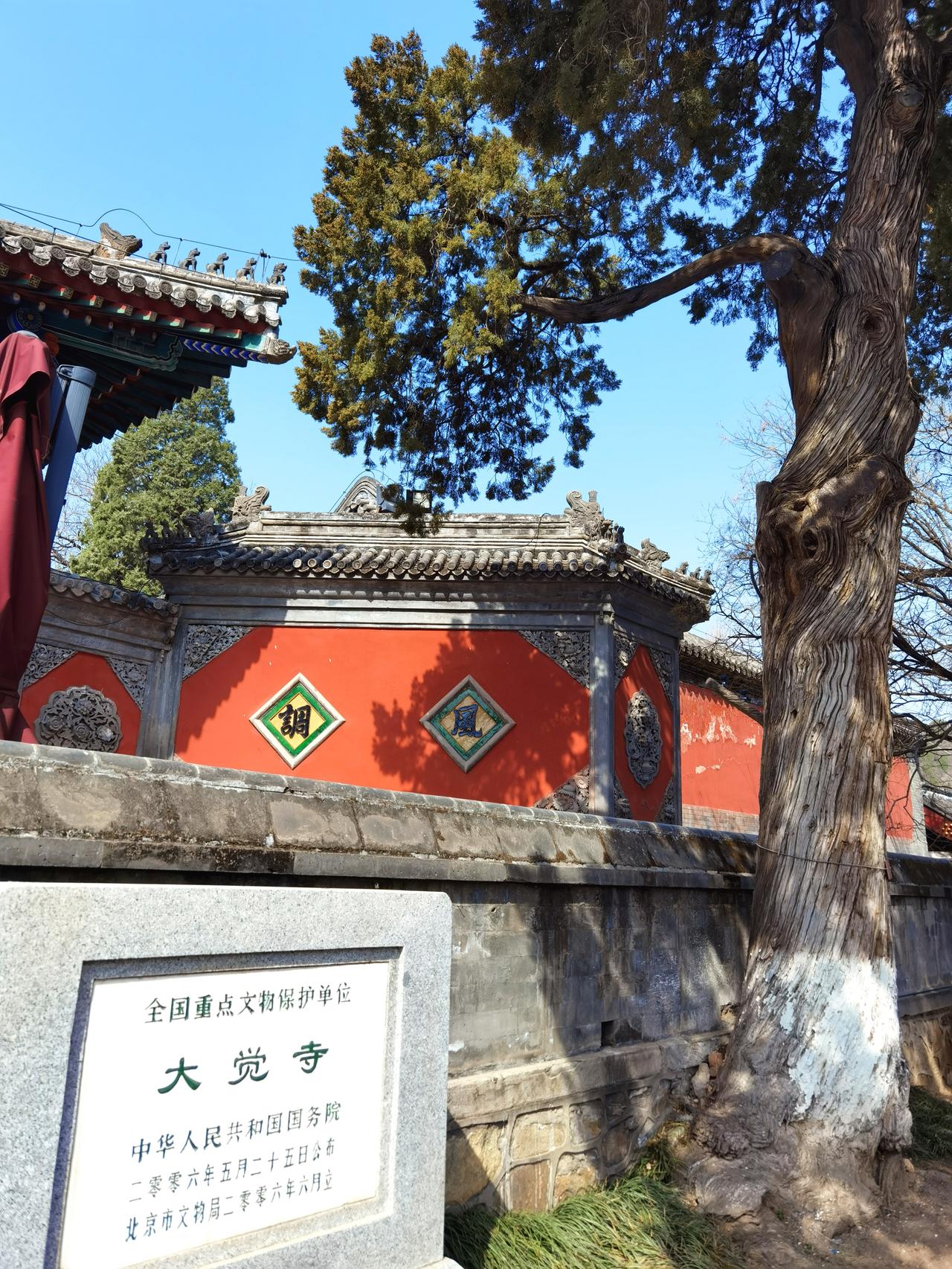 在北京去一座寺院，坐地铁30站再接着打车，到底值不值？北京大觉寺位于海淀区苏