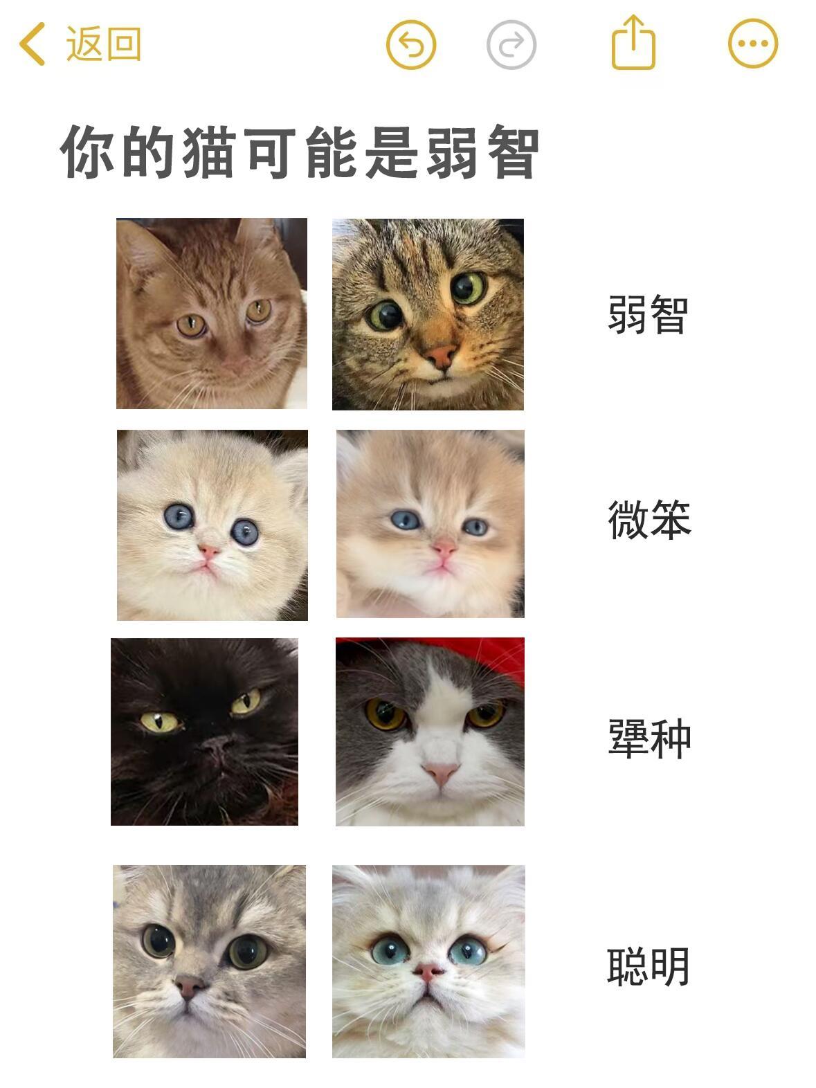 你的猫可能是弱智🐱如果你发现你的猫随便rua都没有反抗可能不是性格好，是弱智