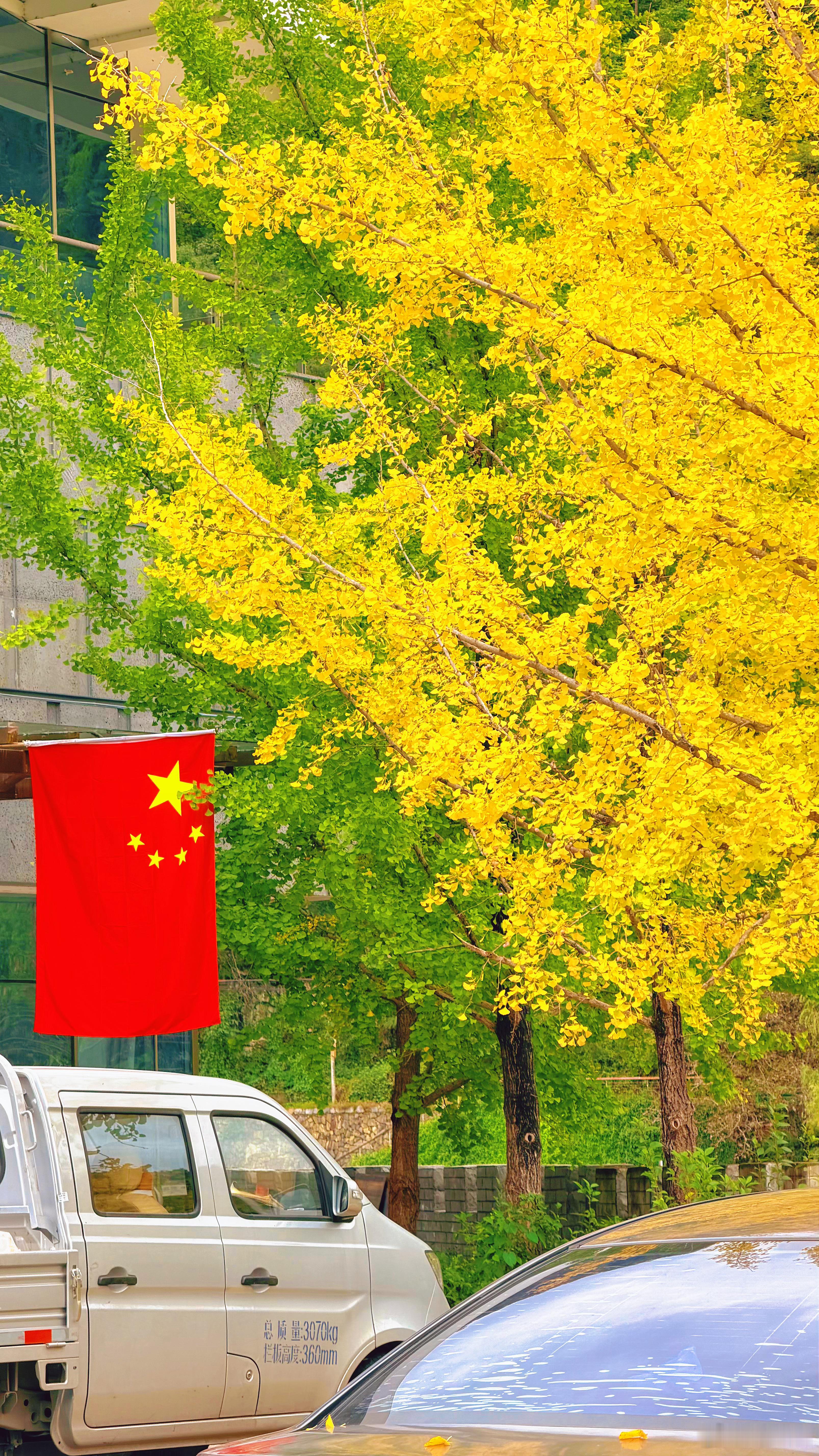 留坝县的秋天原来这么美沿着244国道一路往留坝县方向走，没有什么人一路上的秋色