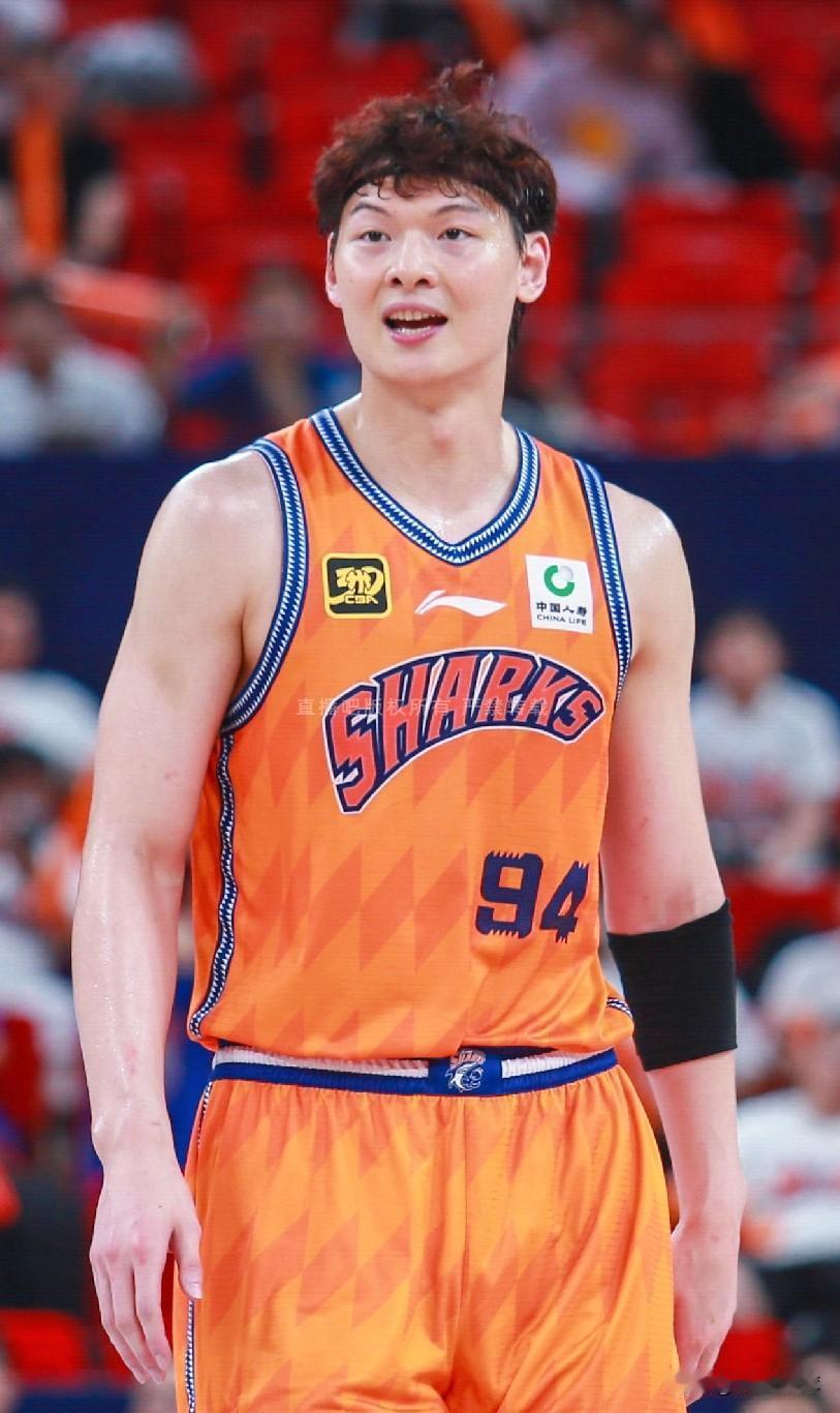 CBA常规赛第12轮得分前10的本土球员一览：01、深圳的贺希宁，24分5板