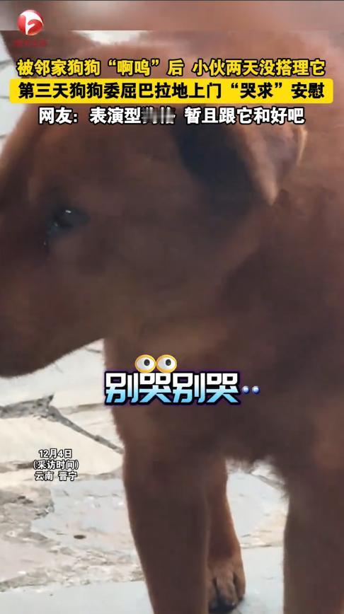 笑不活了！近日，云南昆明，一男子逗邻居家狗玩时，狗狗差点咬到他，男子一生气，2天