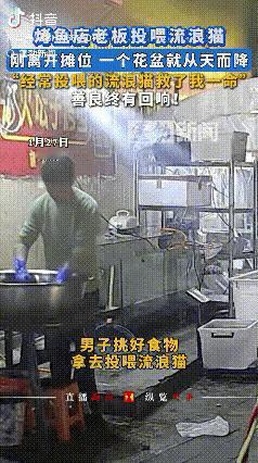 1月27日，贵阳烤鱼店的石老板，正在大盆旁处理着鱼，那只经常来吃鱼杂的小猫咪又跑