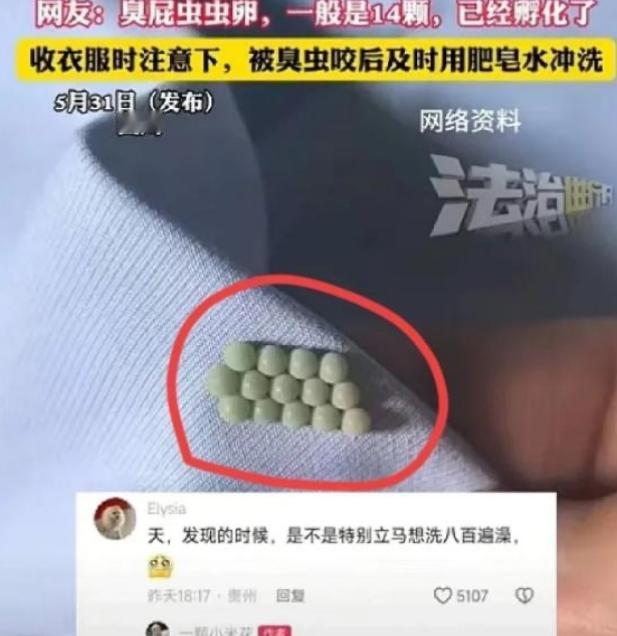 “太恶心了！”5月31日四川，一女子起床穿内衣，结果，却总感觉扣不舒服，她将内衣
