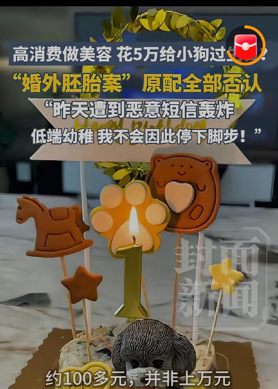水军们也是不容易，找不到朱女士道德上的缺点，开始攻击人家的消费，什么花5万给狗狗