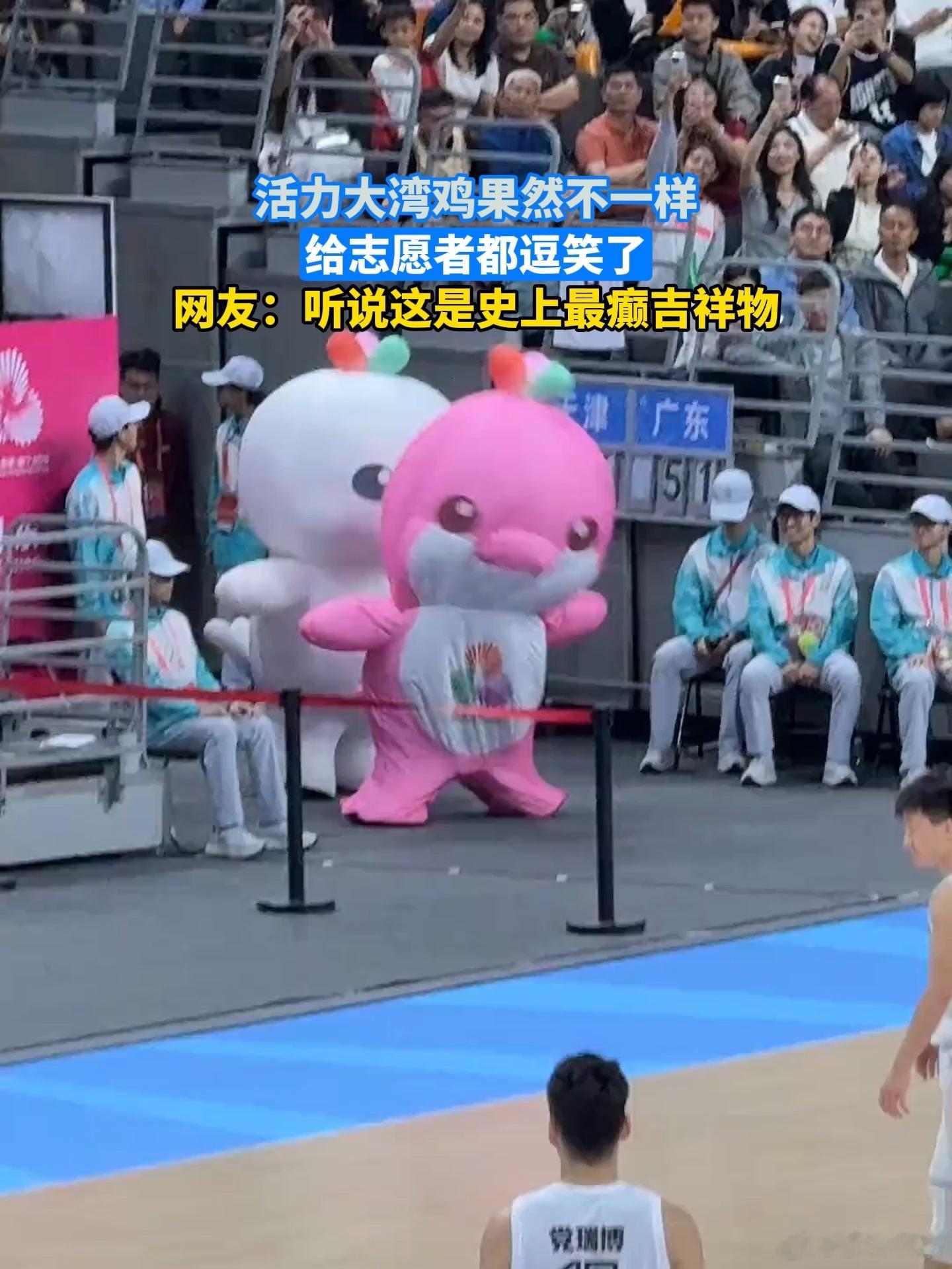 这次全运只有两个冠军一个是全红婵，一个是大湾鸡不认识第三个了。有同感的吗？