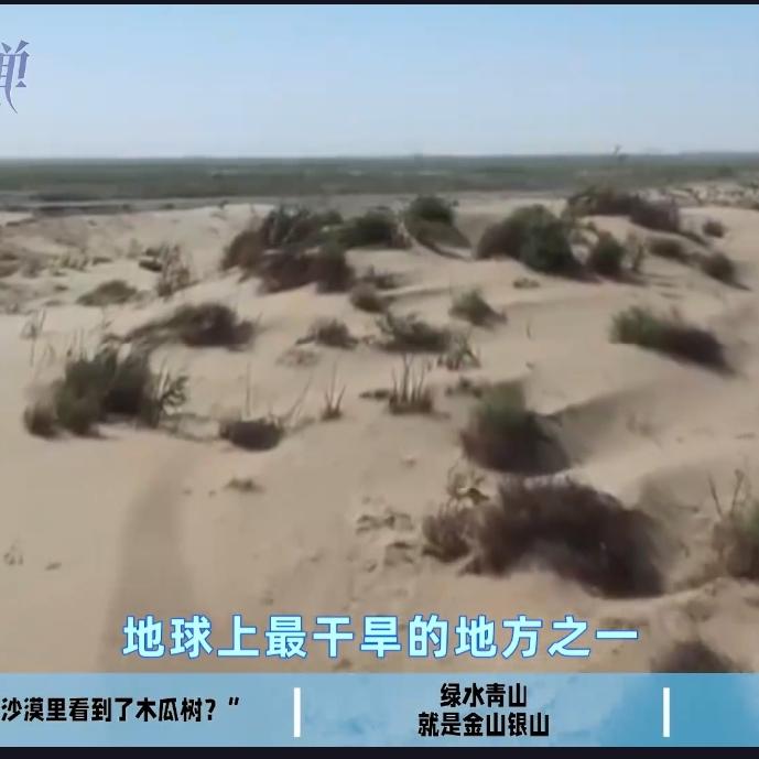 太震撼！中国把死亡沙漠，硬生生改成塞上江南谁能相信？曾寸草不生的塔克拉玛干
