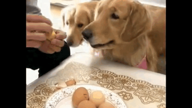 2331435807889397156.jpg?id=0