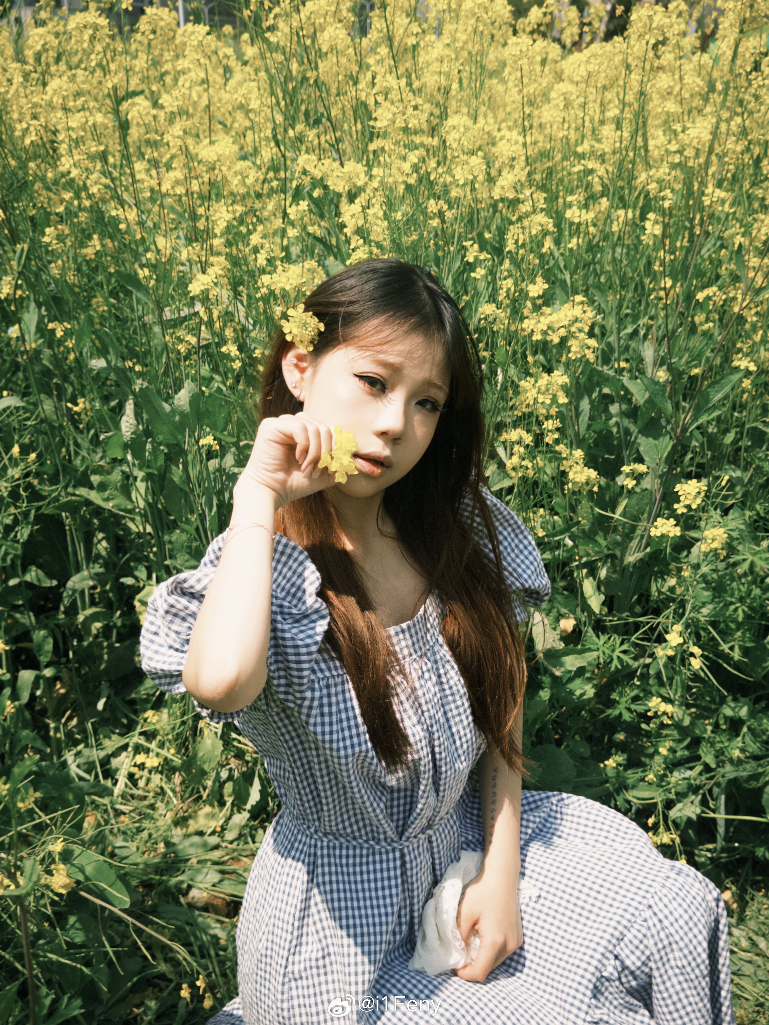 在油菜花田里🌼花海!（🦋p2竟然拍到了蝴蝶!!​​​