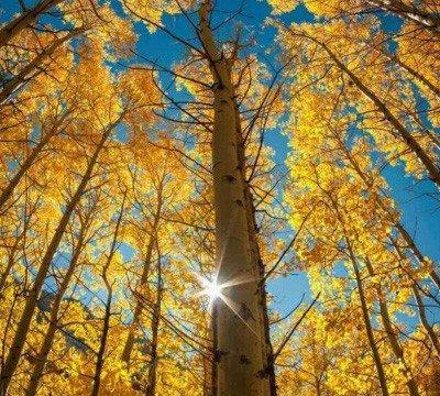 刷到一段这样的话：“有什么好焦虑呢？来到这个世界的人，有几个是活着回去的？大家都