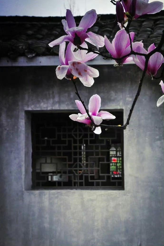 一到春天，就想去徽州……