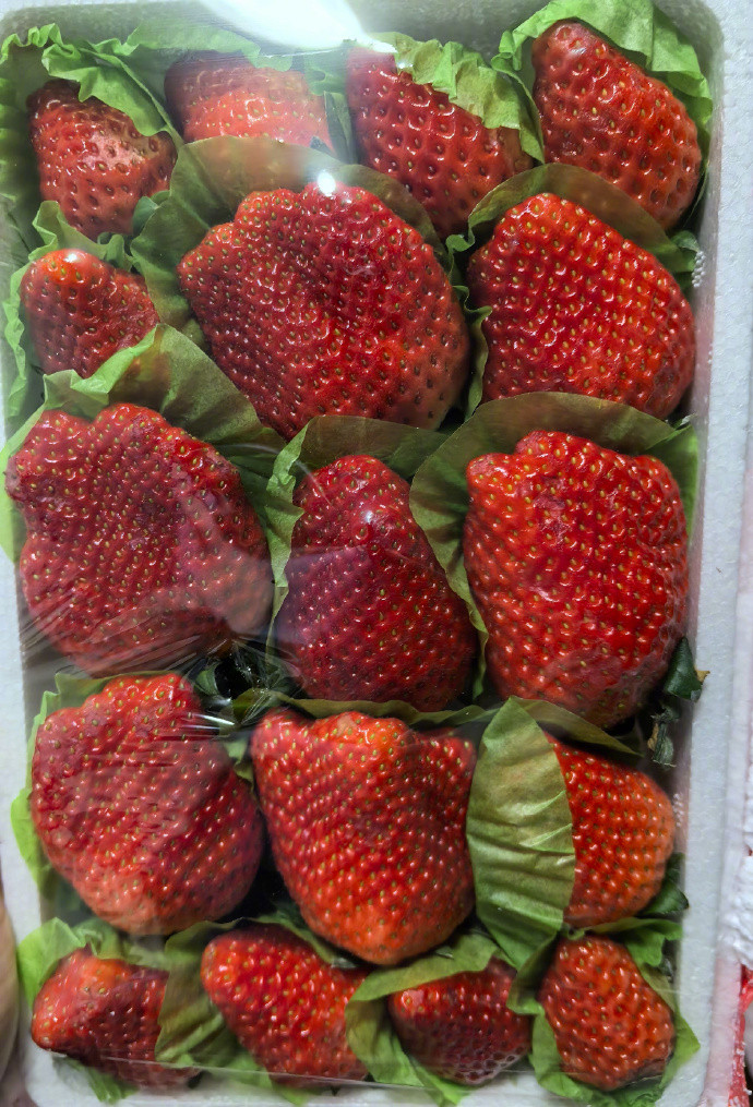 草莓商家的心眼比草莓籽多