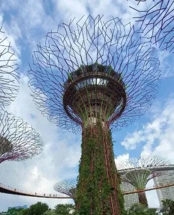 小国投机外交的惨痛教训！新加坡前议员点评立陶宛：四年豪赌，最终沦为地缘博弈的冤大