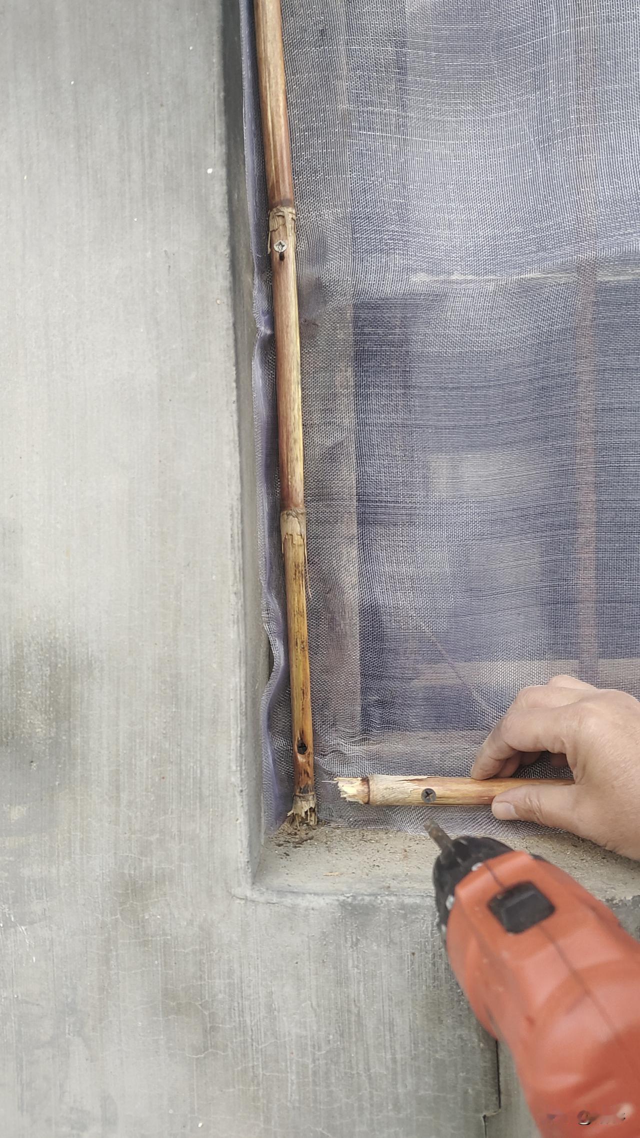 我家厨房后面的纱网时间久了过于破旧，老婆昨天去商店割了一块纱网，要求我今天早上换