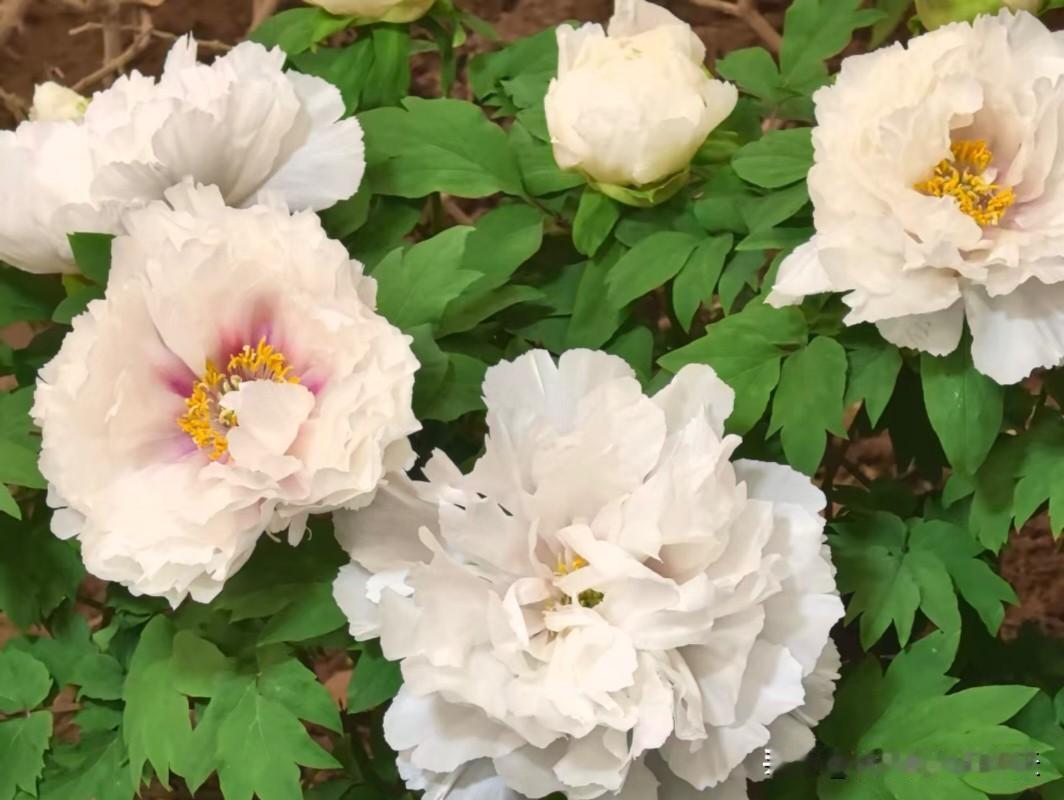 看人准不准，就这10条，少走十年弯路​1.个子不高的人，往往心里装着整盘棋