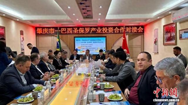 粤港澳大湾区“制造新城”肇庆“链”动巴西“经济火车头”圣保罗
