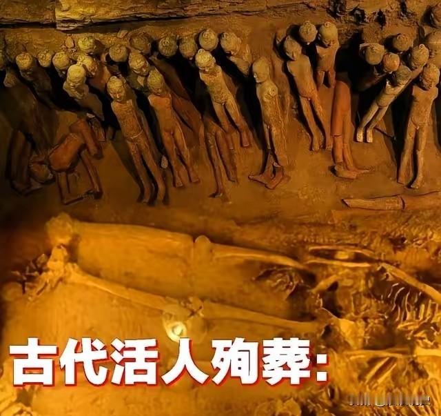 古代殉葬者的绝境反抗：骨头里藏着的求生欲你以为古代殉葬的人，被封进墓穴后就