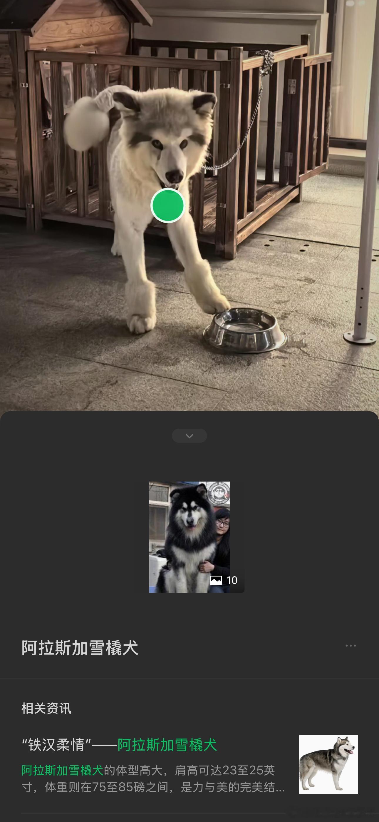 要不是AI，这题真解不出[doge][doge][doge]​​​