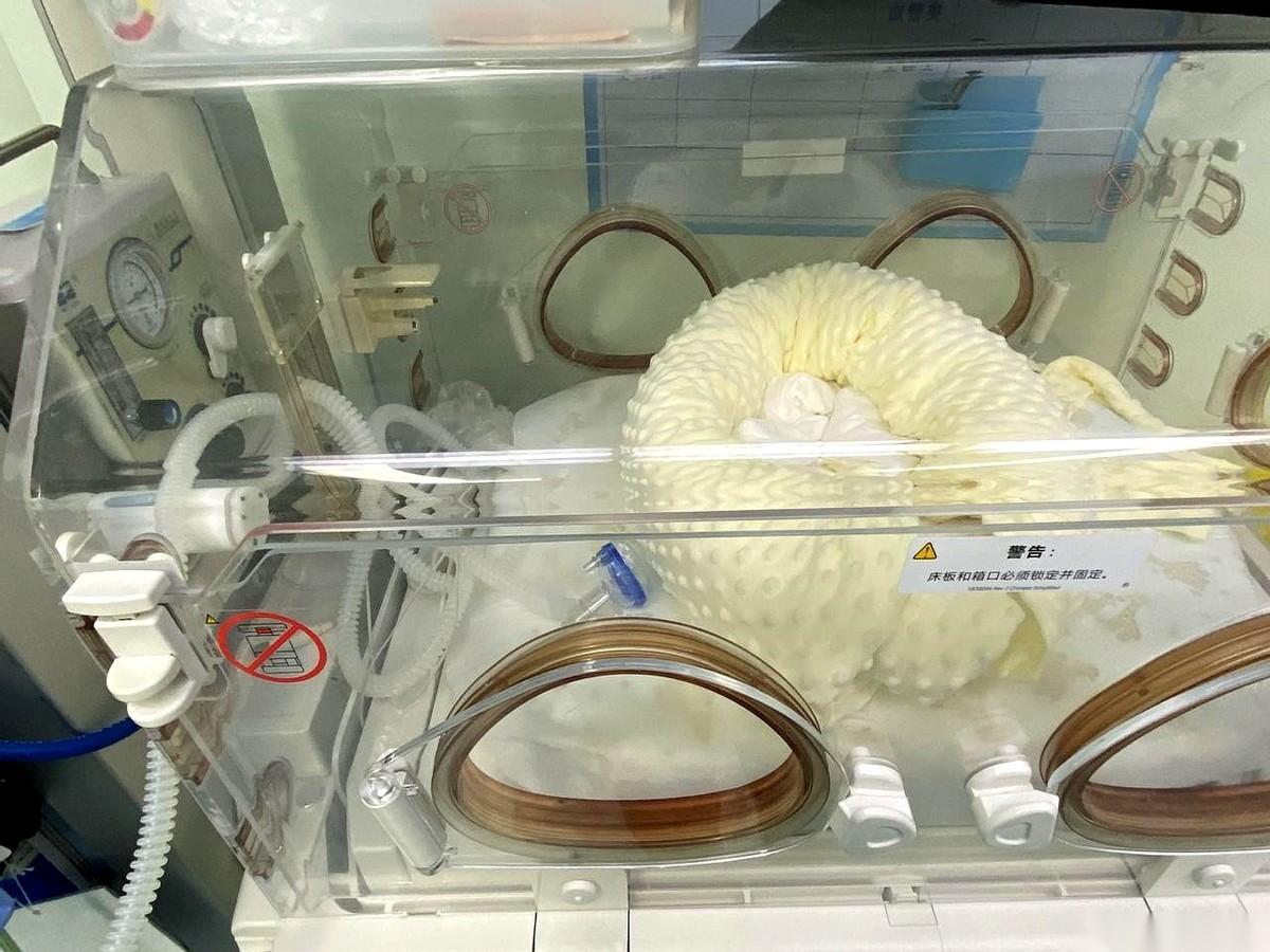 “特纳综合症”，三个字一从主任嘴里说出来，整个科室的空气都紧了一下。所有人都知