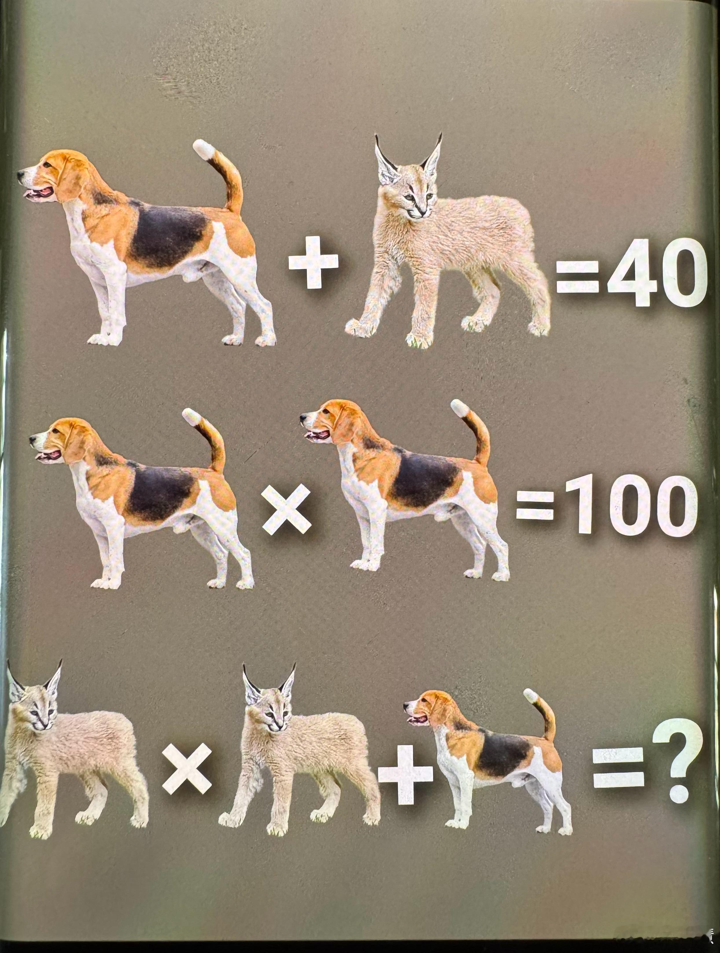 马斯克都算错了，你能计算出来吗？评论区写出你的答案！