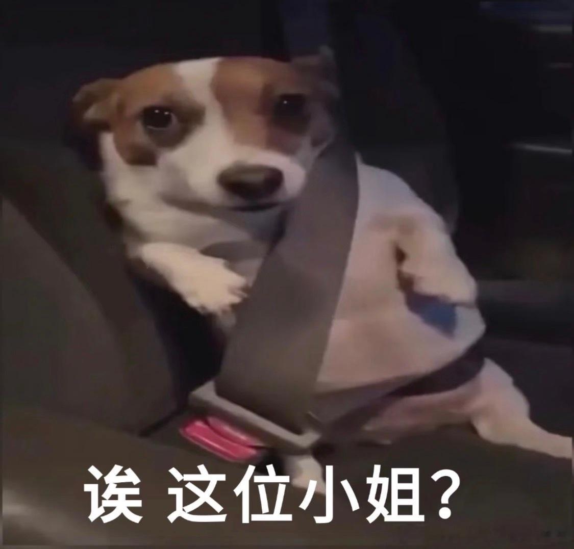和男朋友deeptalk的时候我突然意识到独生女其实和独生子一样，我之所以不婚