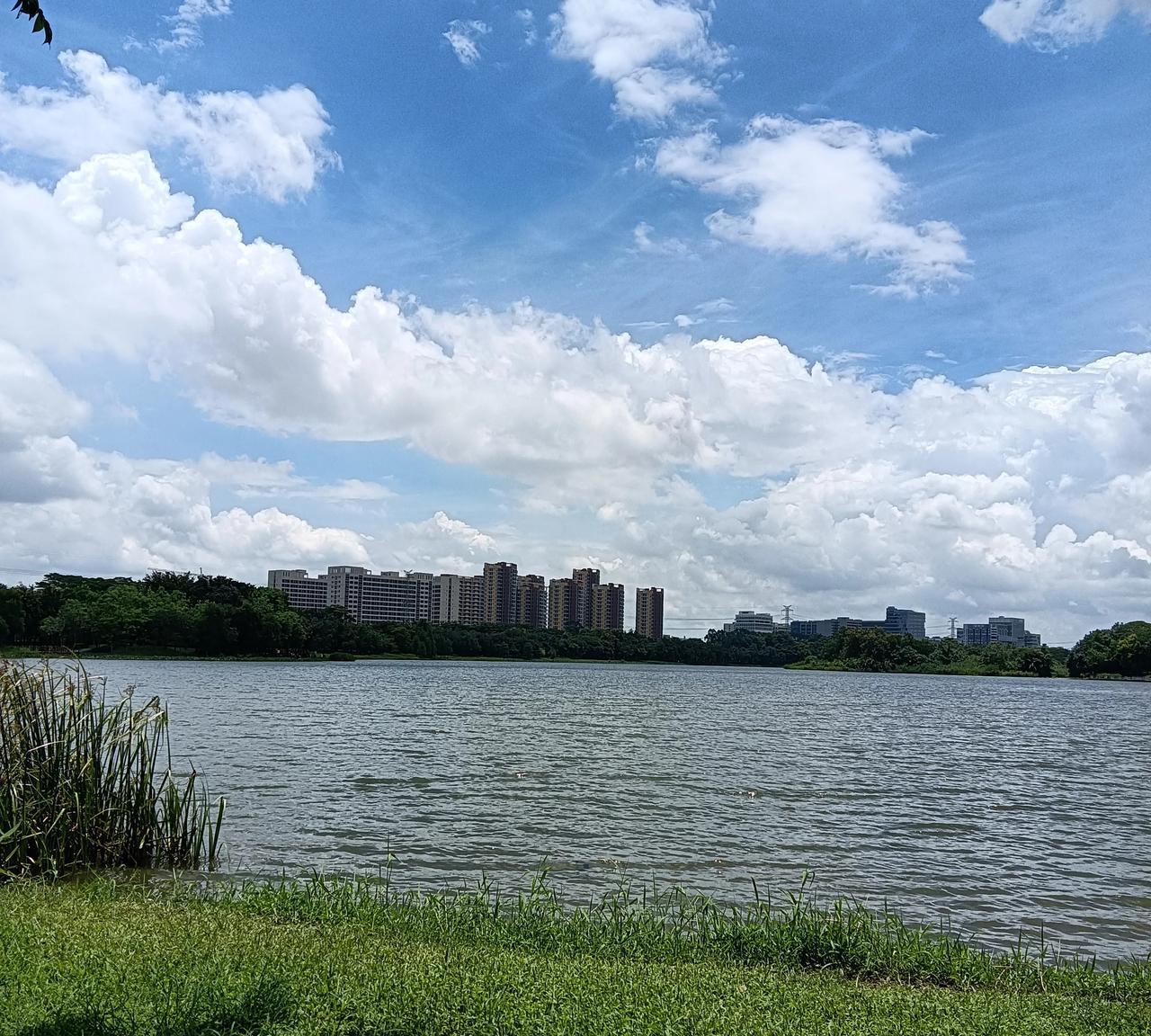 父母在帮我哥嫂带孩子，我嫂子每个月给他们3000元钱，然后我爸妈就总想着省下点钱