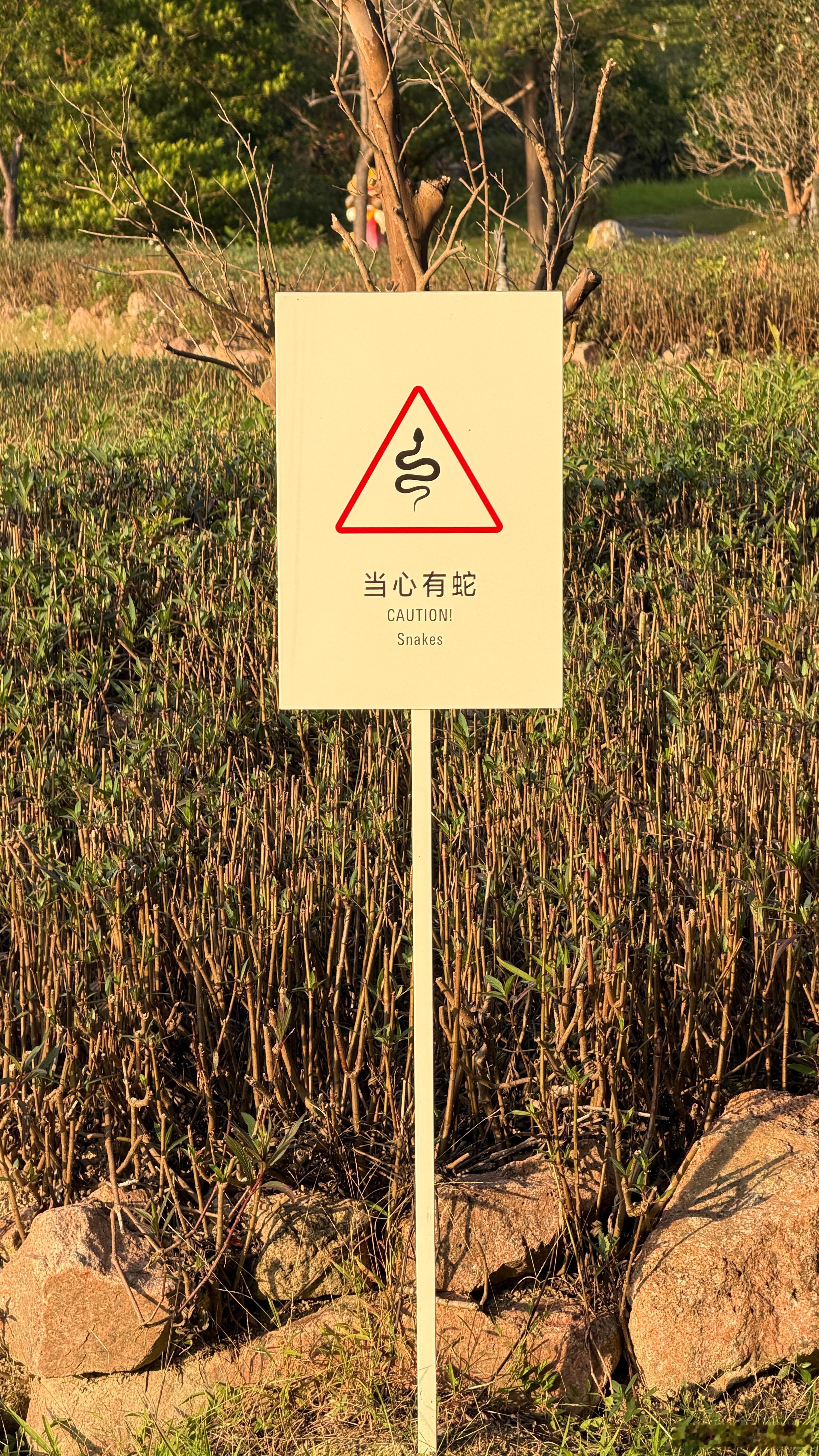 今天的拍摄环境相当刺激​​​