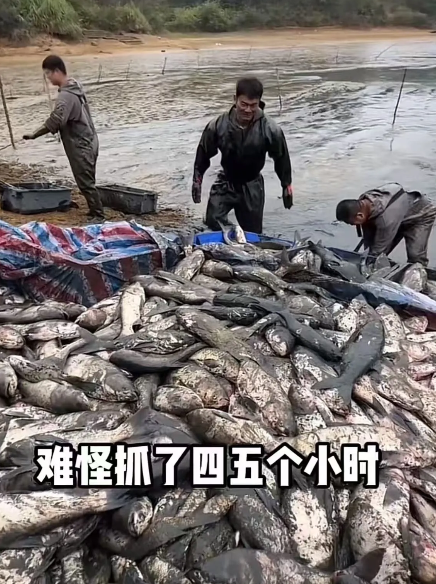 看哭了！湖南衡阳，19岁男生爸爸因病去世，妈妈也去世多年。而爸爸一生穷困潦倒，