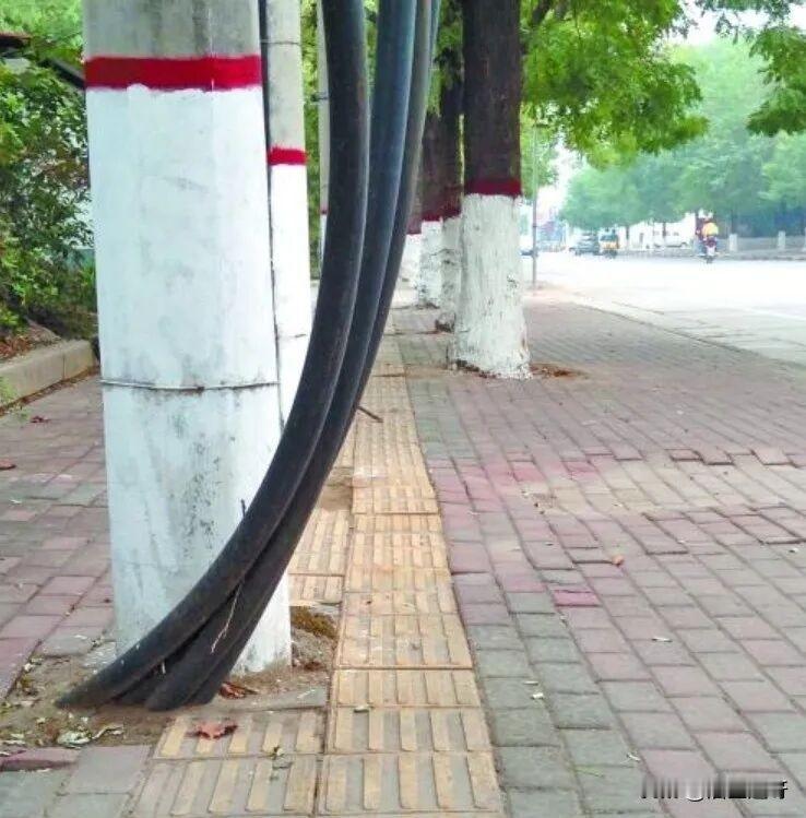 这两天网络上对郑智化的“讨伐”声不绝于耳。其中不乏对郑智化本人极其恶毒的攻击。