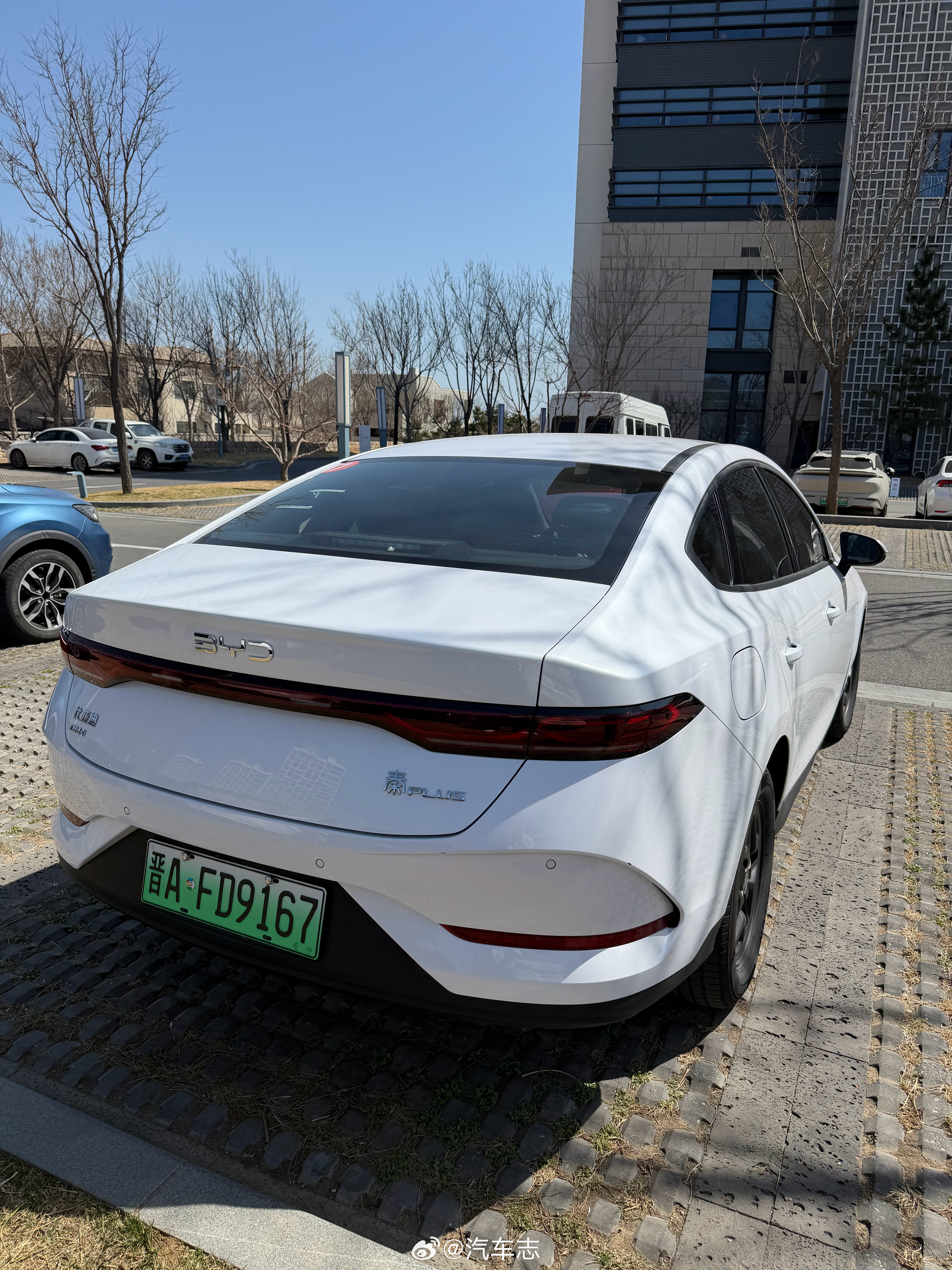 前两天花200块租了一个秦Plus，北京开到秦皇岛，高速全程120，好久没开过风