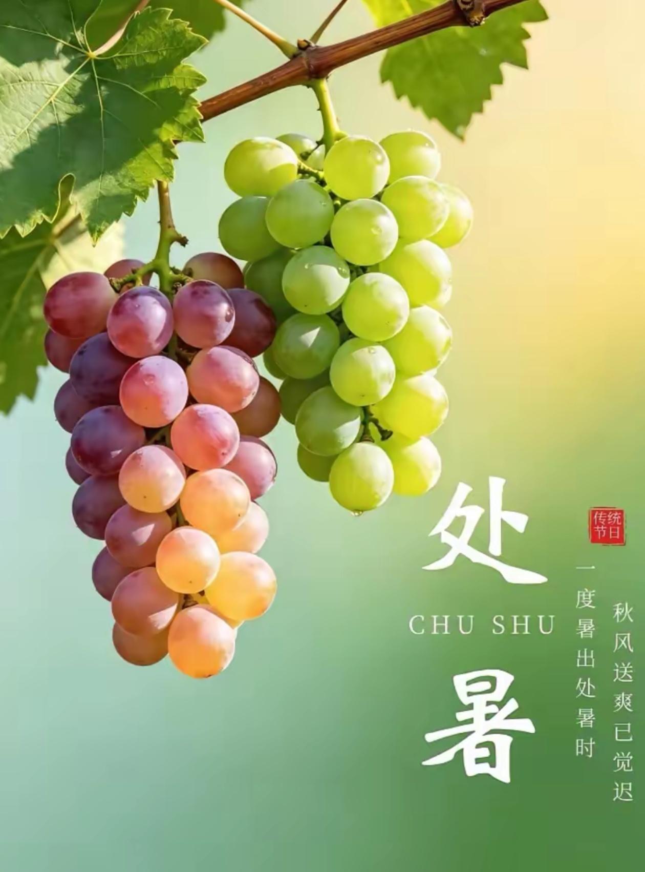 2026./8月23日，辞别炎夏，静候秋丰🍁秋风吹动枫林，满山