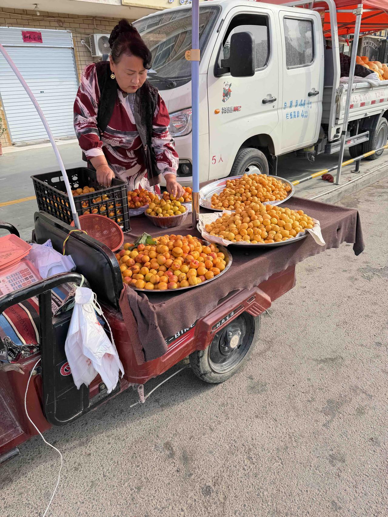 瓜果飘香喀什城我走在新疆喀什的大街上，瞧见路两边栽满了果树，尤其是桑葚树上的果