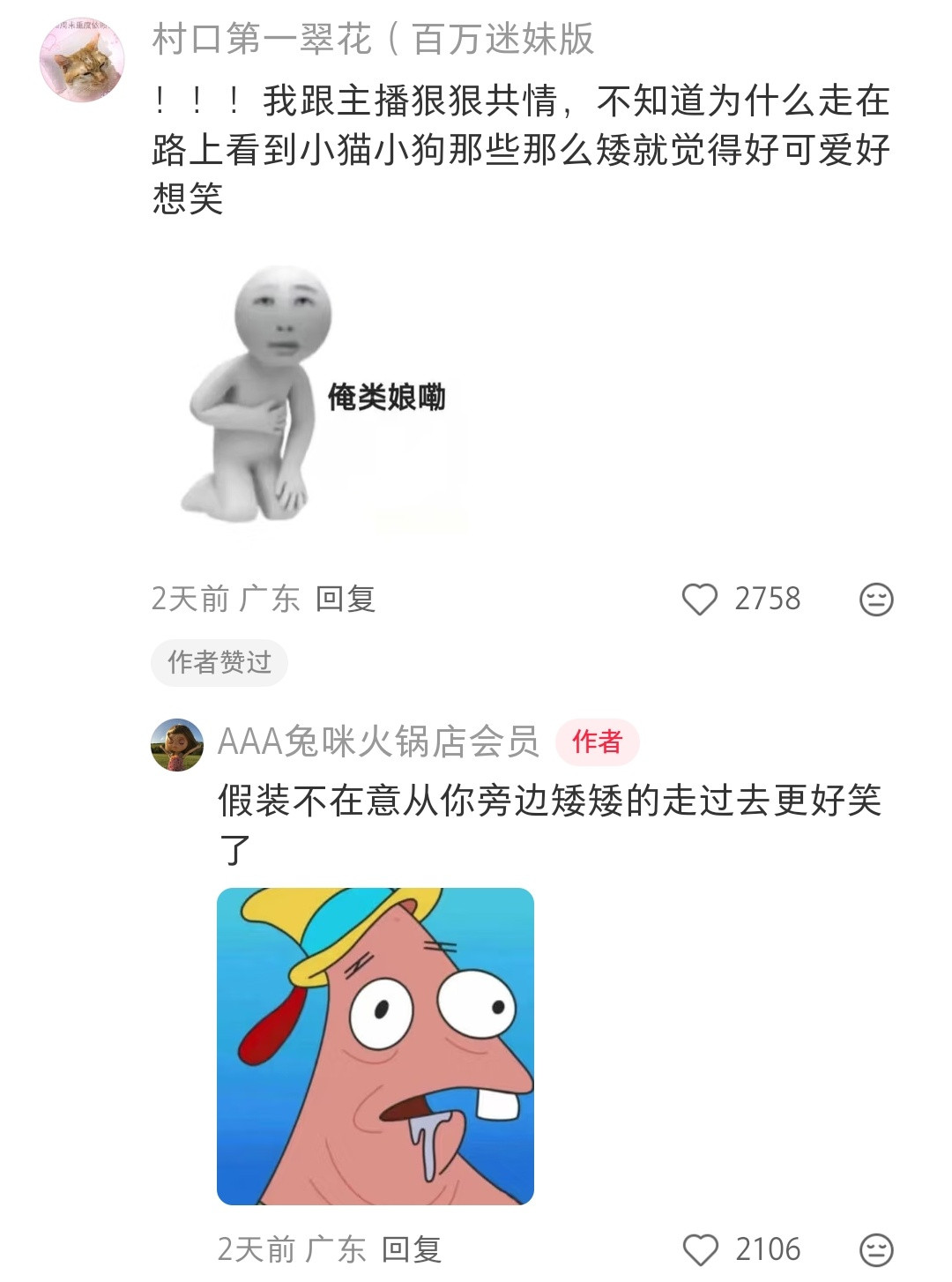 🐱：本咪的身高招谁惹谁了
