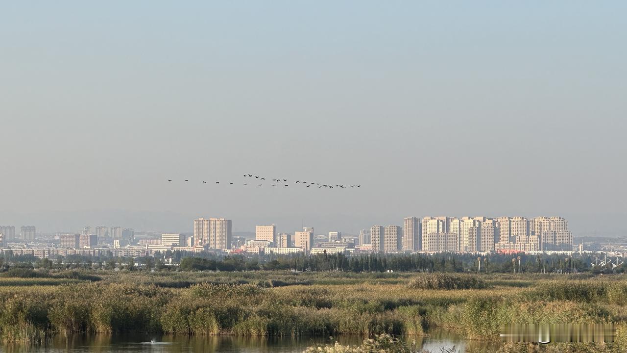 东胡，就是东边的胡人；林胡就是树林中的胡人。胡人、胡子，是内地对塞外游牧等少数民