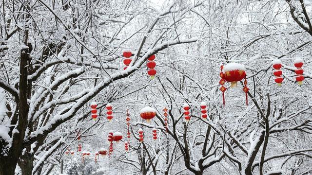 大雪暴雪确认跑偏, 寒潮冷空气拐弯东移, 五九时节大暴雪强势来袭