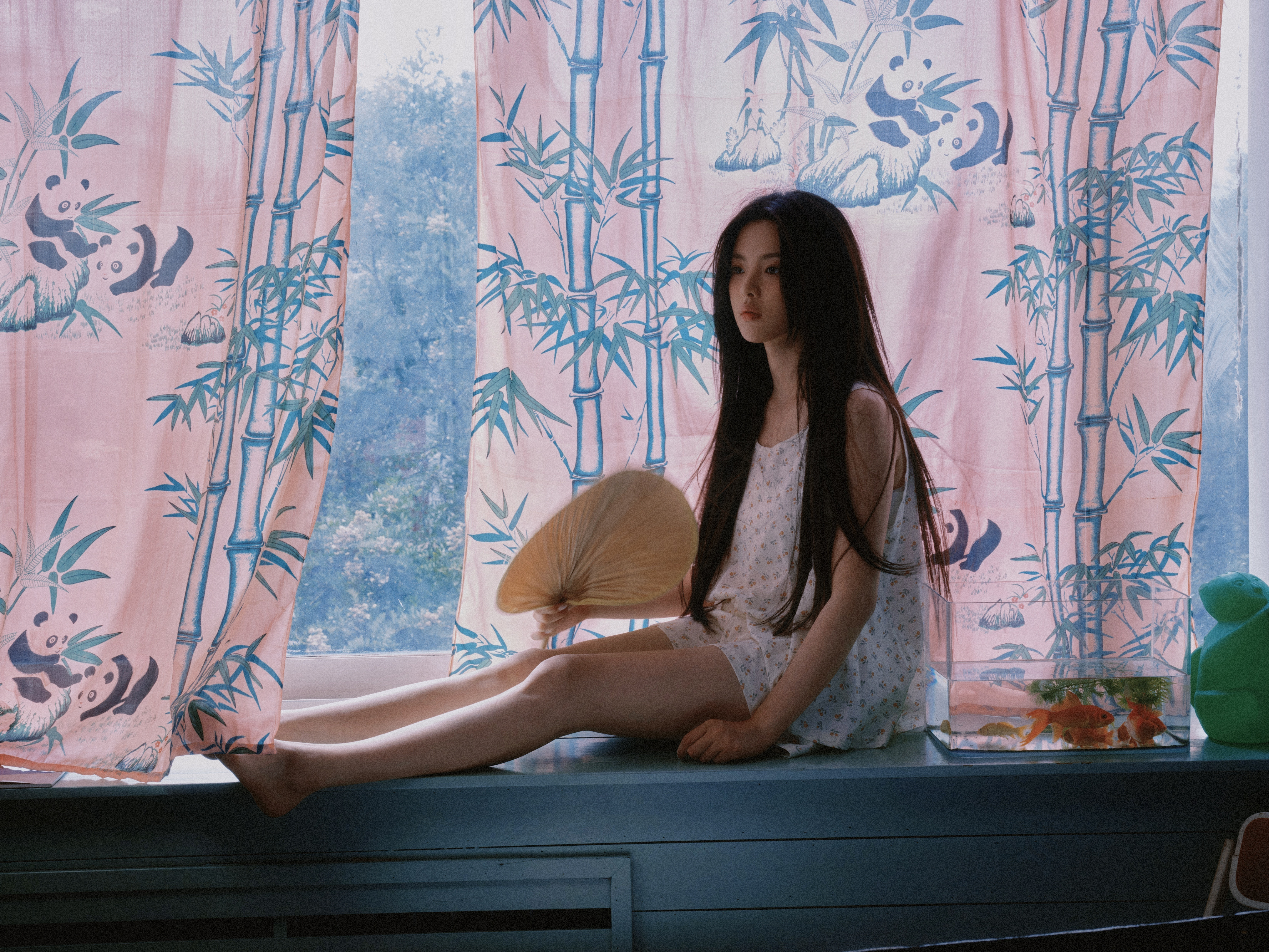 猫的树镜头下的杨超越杨超越夏日清凉随拍