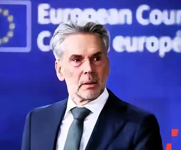 荷兰松手了，安世半导体能接着干了。不是归还，是放行——中国公司造的车芯，欧洲车