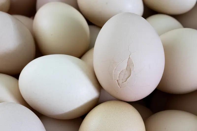 养花老养死？那是你没掌握这些园艺小技巧。浇水可别“凭感觉”，很多人天天浇水把花