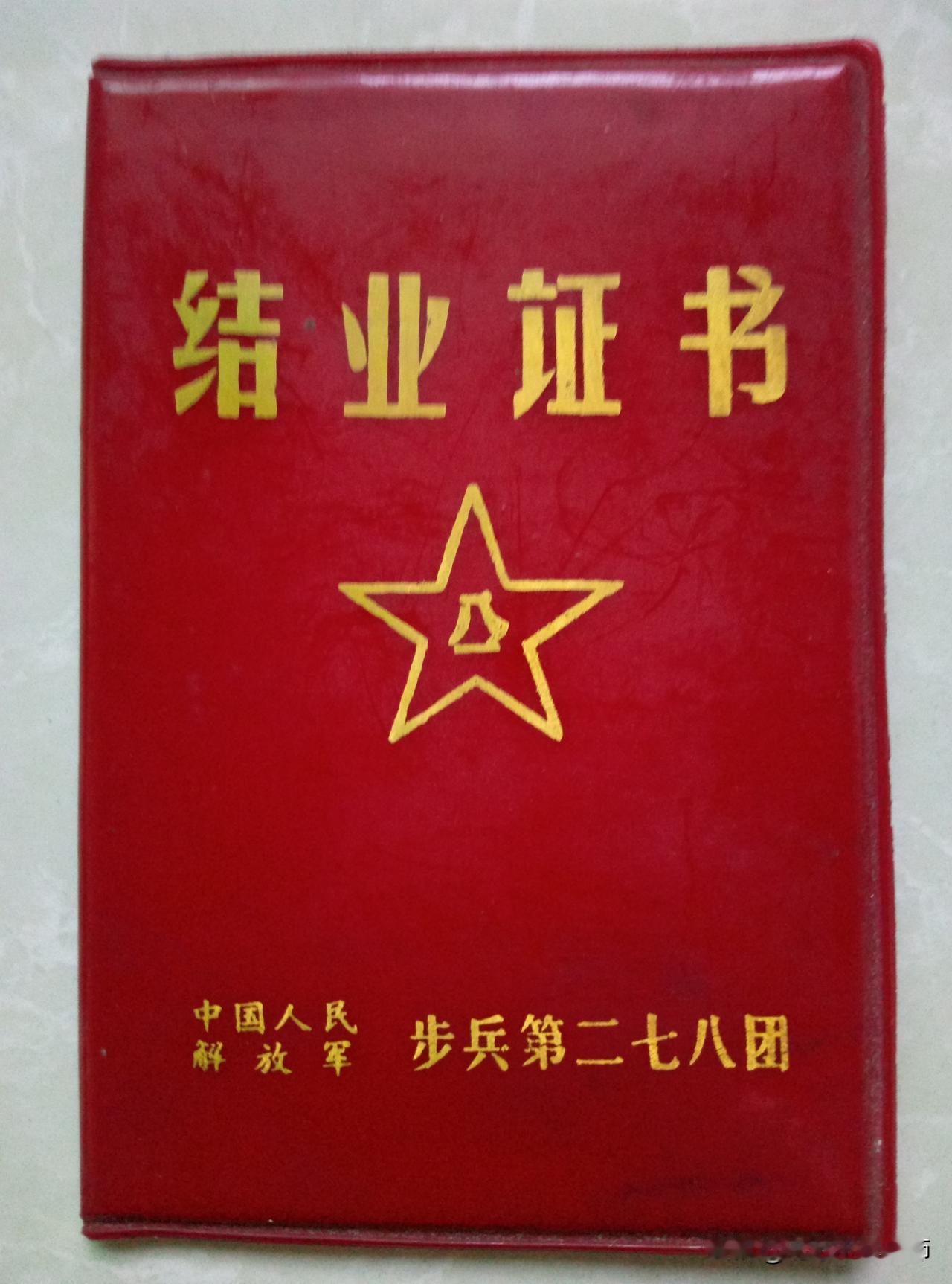 教导队是培养排级干部的单位？我看这位网友也并不是很懂。本人是1984年入伍兵