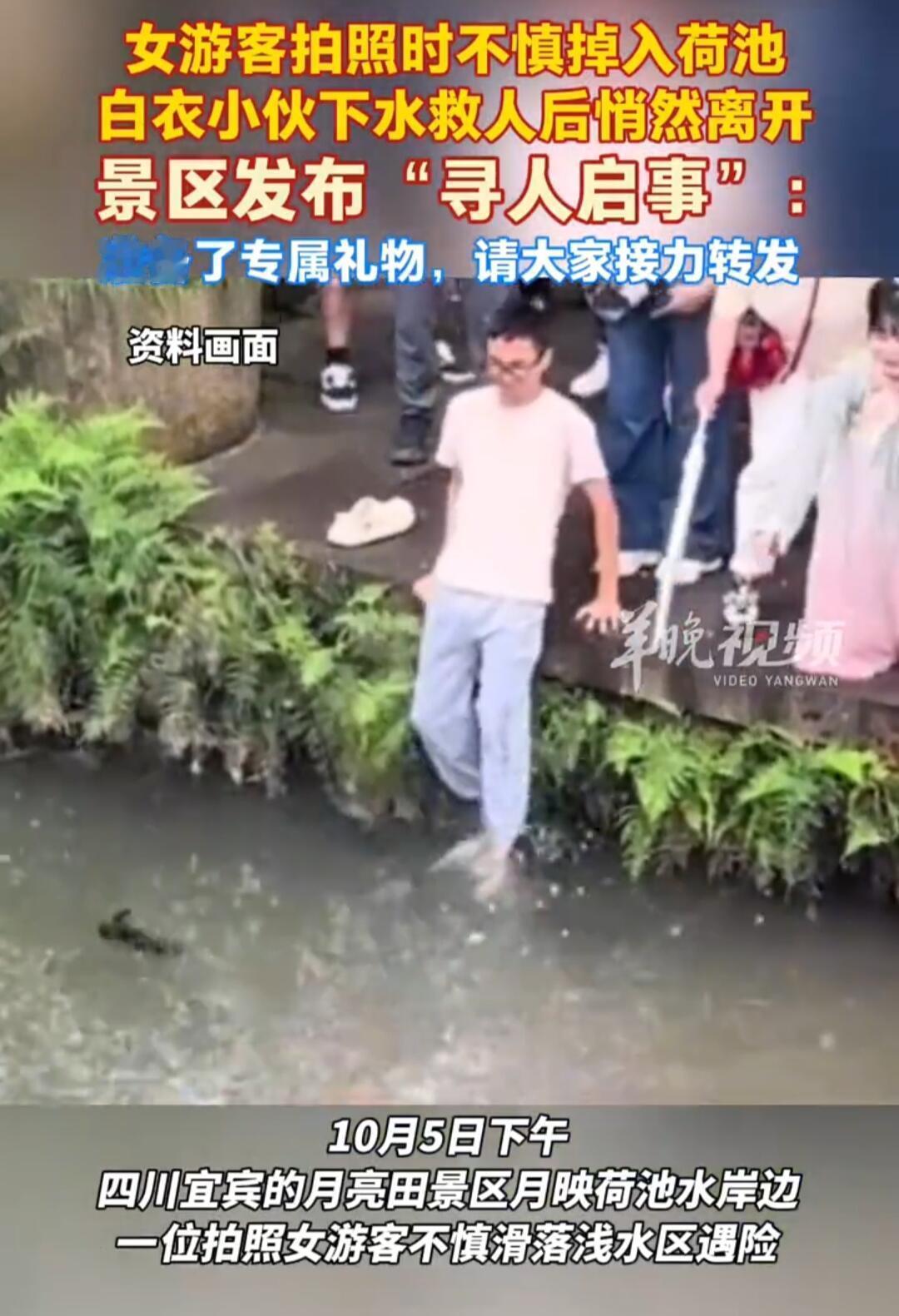 这事儿真挺暖的——前几天在四川宜宾李庄古镇，有个女游客光顾着拍照，不小心栽进荷塘